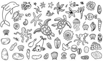 Linear design of various marine fauna icons vector