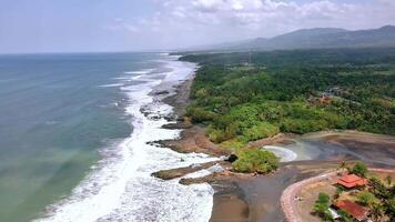 An aerial view of a beach and forest video