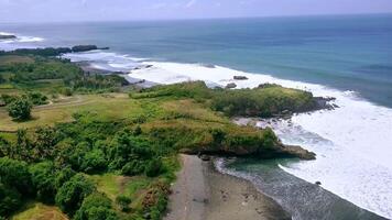 An aerial view of the ocean and beach video
