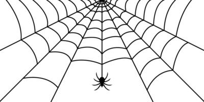 Intricate Spider web silhouette with hanging Spiders vector
