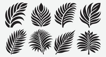 Tropical Leaves Silhouette Collection for Bold and Dynamic Graphics vector