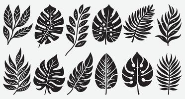 Versatile Tropical Leaves Silhouettes for Innovative Graphic Design Applications vector