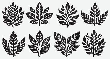 Chic Tropical Leaves Silhouettes for Unique Visual Branding Solutions vector