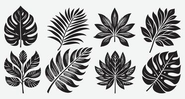 Stylish Clip Art of Tropical Leaves for Modern Graphic Projects vector
