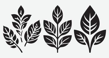 Versatile Leaves Silhouette Icon Collection for Trendy Design Use vector