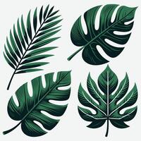 Lush Tropical Leaf Illustrations for Bold Background and Ornaments vector