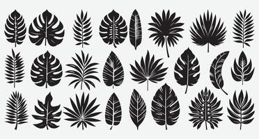 Stylish Line Art of Tropical Leaves for Unique Design Inspirations vector