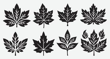 Tropical Leaves Clip Art Collection for Dynamic and Chic Design Elements vector