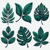 Elegant Line Art of Tropical Leaves for Versatile Design Applications vector