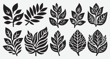 Bold and Trendy Tropical Leaves Clip Art for Modern Design Use vector