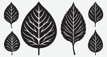 Elegant Silhouettes of Leaves for Chic Design Projects vector