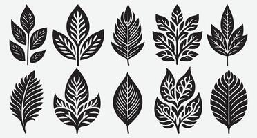 Tropical Leaves Silhouette Collection for Fresh and Inviting Designs vector