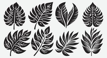 Stylish Silhouettes of Tropical Foliage for Inspiring Graphic Art Use vector