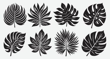Tropical Leaves Silhouettes for Unique Patterns and Decorative Elements vector