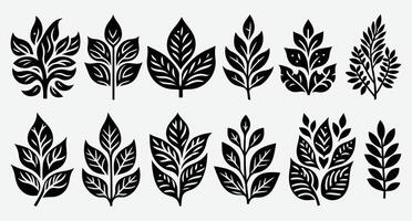 Charming Tropical Leaf Illustrations for Unique Design Elements vector
