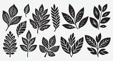 Bold Leaves Silhouettes for Unique Patterns and Graphic Art vector