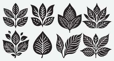 Artistic Line Art of Tropical Leaves for Stunning Visual Designs vector