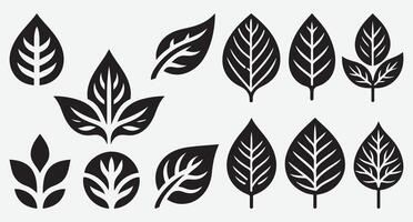 Dynamic Silhouettes of Leaves Icon Set for Creative Background Illustrations vector