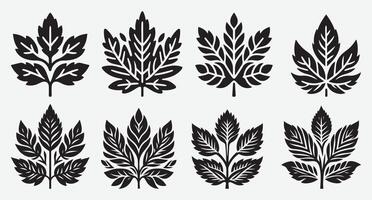 Elegant Tropical Leaves Silhouettes for Stunning Background and Design Use vector