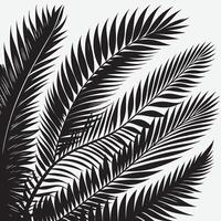 Unique Tropical Palm Leaves Silhouettes for Fresh and Creative Design Elements vector