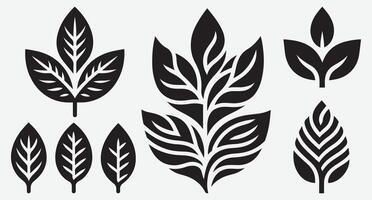 Creative Line Art of Tropical Leaves for Unique Graphic Inspirations vector