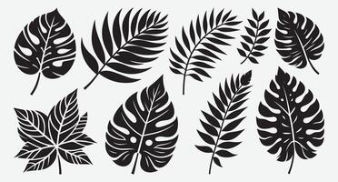 Charming Clip Art of Tropical Leaves for Modern Branding Projects vector