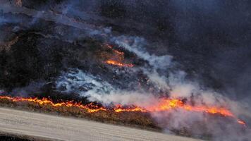 aéreo ver de un ardiente seco campo. grande nubes de fumar subir dentro el cielo video