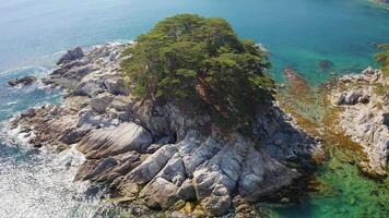 Rocky island washed by waves covered with coniferous trees in a sea bay video