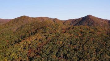 Green, yellow, red crowns of trees in deciduous forest in autumn in October video