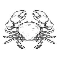 Crab icon black and white hand drawn outline illustration of crab icon for web vector