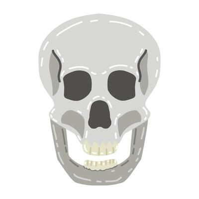 Human skull facing straight forward. The skull is depicted in shades of gray with black eye sockets and nose, and white teeth.