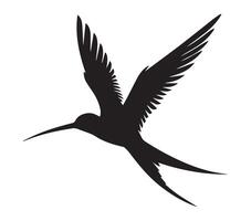 Outline of African Skimmer Bird on White vector