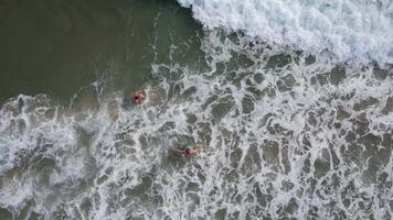 Aerial view of two people swimming in ocean waves, perfect for summer vacation and beach relaxation themes video