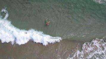Aerial view of a person swimming in ocean waves, embodying summer relaxation and adventure video