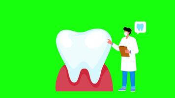 Dentist Talks About Protecting Your Teeth On Greenscreen Background 2D Cartoon Animation video