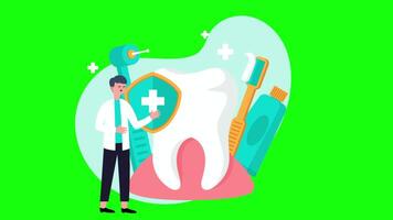 Dentist Talks About Protecting Your Teeth On Greenscreen Background 2D Cartoon Animation video