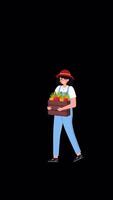 Female Farmer Holding A Fruit And Vegetable Basket On Vertical On Alpha Channel 2D Cartoon Animation video