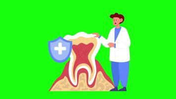 Dentist Talks About Protecting Your Teeth On Greenscreen Background 2D Cartoon Animation video