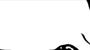 fluid transitions loop animation video
