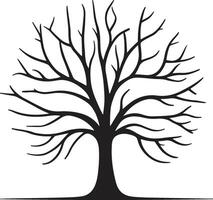 A Black silhouette of a tree without leaves on transparent background, vector