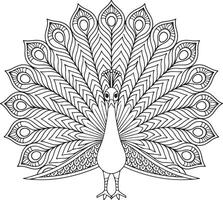 a peacock for coloring mandala vector