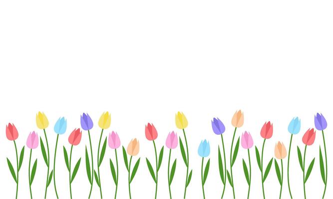 Color Tulips isolated on white background.