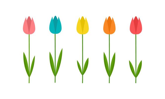 Color Tulips icon set isolated on white background.
