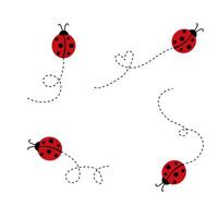 Ladybugs flying on dotted route icon set isolate on white background. vector