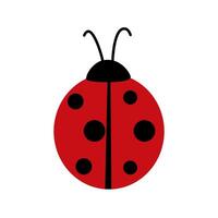 Ladybug icon isolate on white background. vector