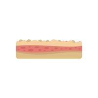 Human skin layers showing epidermis dermis and subcutaneous tissue vector