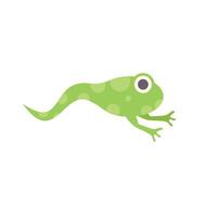 Green tadpole swimming and developing into a frog vector