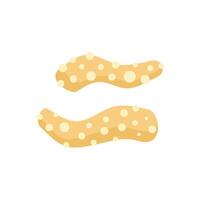 Two pieces of ginger root with sprouting buds are lying on white background vector