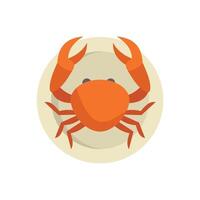 Cooked crab lying on plate top view vector illustration