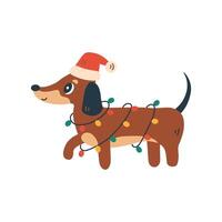 Christmas Dachshund Dog with Garland and Santa Hat vector